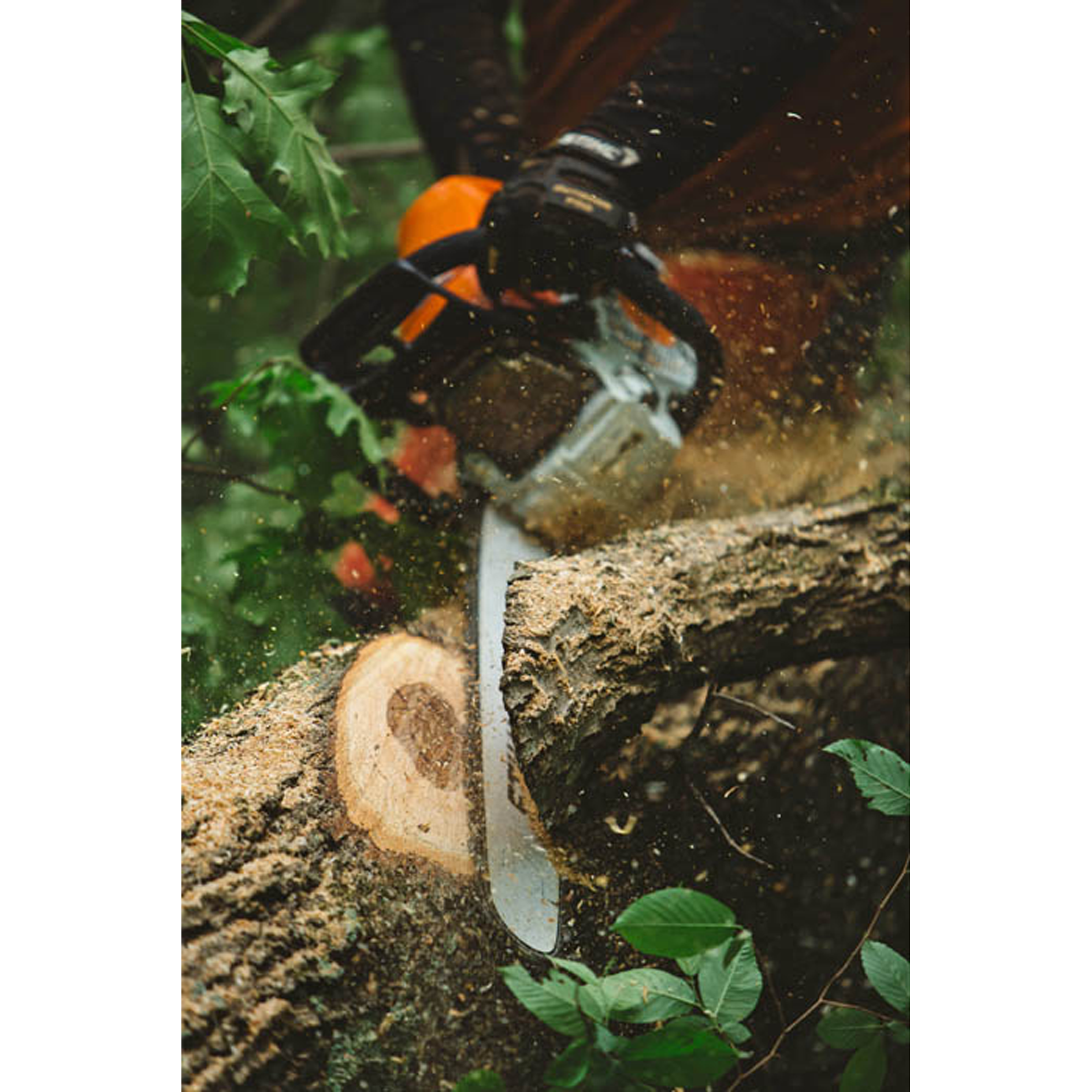 STIHL MS 462 Professional Chainsaw with 25 Inch bar and chain