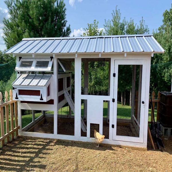 【Home&Garden】【BS】Outdoor Chicken Coop